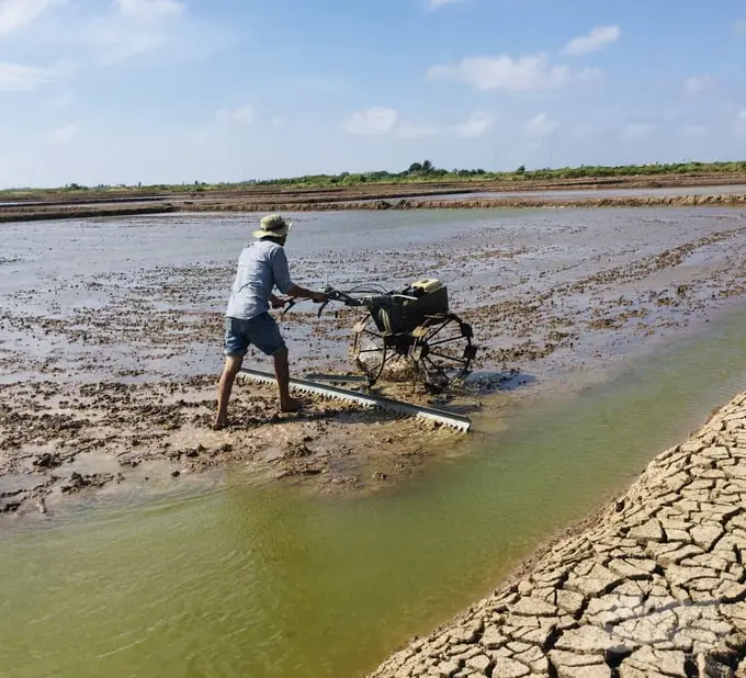 Người dân cải tạo ao nuôi Artemia.