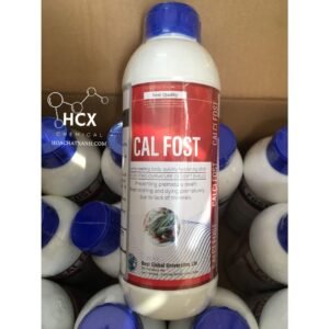 CAL FOST Khoáng nước cao cấp